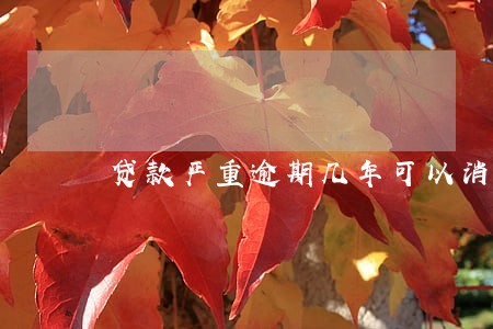贷款严重逾期几年可以消除 贷款严重逾期几年可以消除