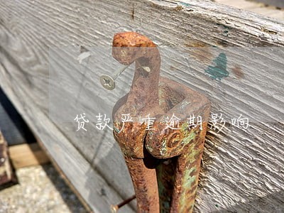 贷款严重逾期影响 贷款严重逾期影响