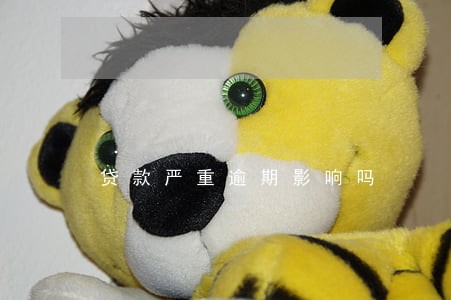 贷款严重逾期影响吗 贷款严重逾期影响吗