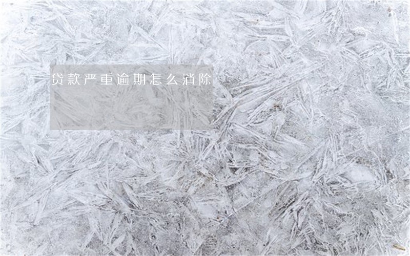 贷款严重逾期怎么消除 贷款严重逾期怎么消除