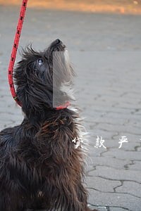 贷款严重逾期短信内容 贷款严重逾期短信内容