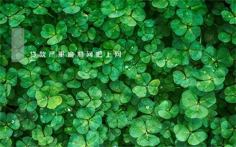 贷款严重逾期网吧上网 贷款严重逾期网吧上网