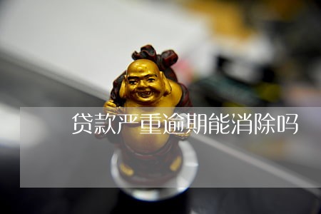 贷款严重逾期能消除吗 贷款严重逾期能消除吗