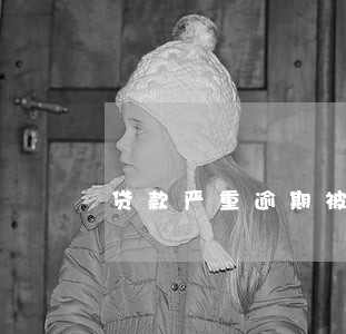 贷款严重逾期被起诉 贷款严重逾期被起诉