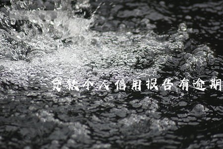 贷款个人信用报告有逾期状态 贷款个人信用报告有逾期状态