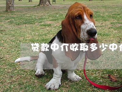 贷款中介收取多少中介费违法 贷款中介收取多少中介费违法