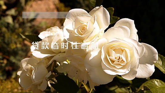贷款临时性逾期 贷款临时性逾期