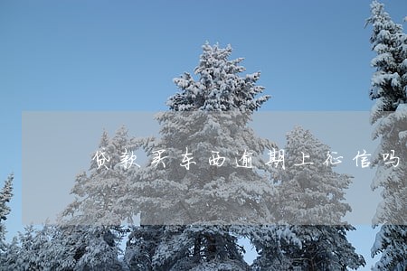 贷款买东西逾期上征信吗 贷款买东西逾期上征信吗