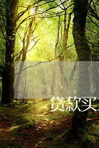 贷款买东西逾期未还会怎样 贷款买东西逾期未还会怎样