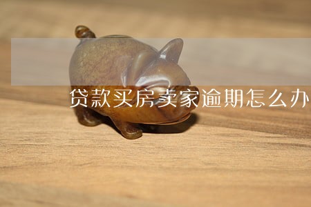 贷款买房卖家逾期怎么办 贷款买房卖家逾期怎么办