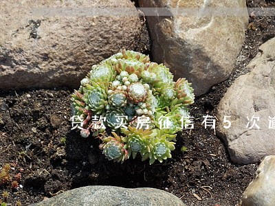 贷款买房征信有5次逾期 贷款买房征信有5次逾期