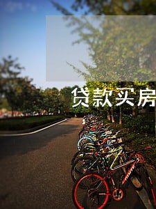 贷款买房有逾期3次可以吗 贷款买房有逾期3次可以吗