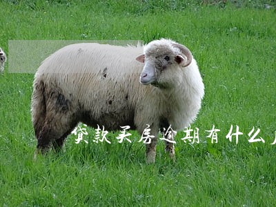 贷款买房逾期有什么后果 贷款买房逾期有什么后果