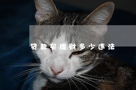贷款买理财多少违法 贷款买理财多少违法
