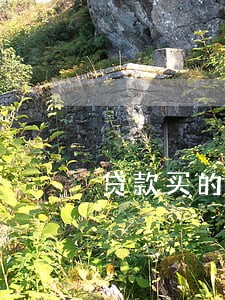 贷款买的保险逾期 贷款买的保险逾期