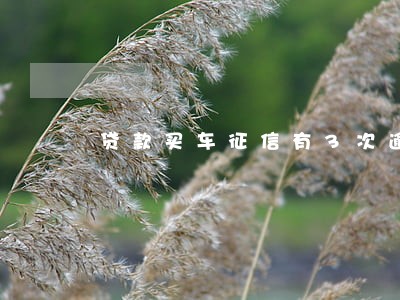 贷款买车征信有3次逾期怎么办 贷款买车征信有3次逾期怎么办