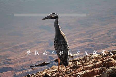 贷款买车征信有逾期可以嘛 贷款买车征信有逾期可以嘛