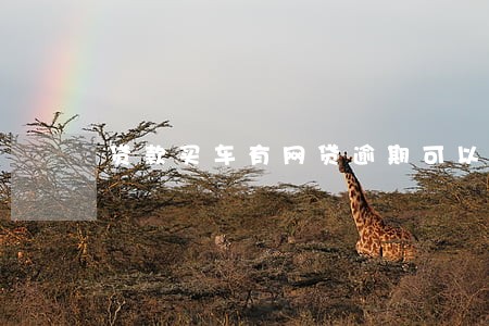 贷款买车有网贷逾期可以吗 贷款买车有网贷逾期可以吗