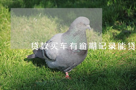 贷款买车有逾期记录能贷到嘛 贷款买车有逾期记录能贷到嘛