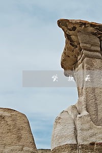 贷款买车被法院强制扣押怎么办 贷款买车被法院强制扣押怎么办