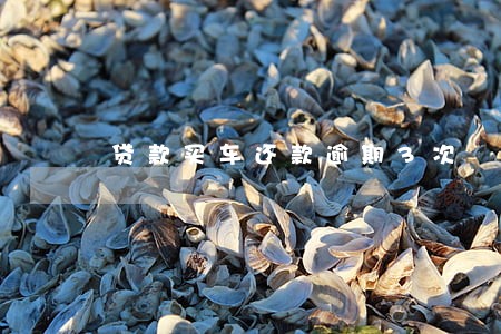 贷款买车还款逾期3次 贷款买车还款逾期3次