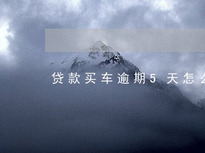 贷款买车逾期5天怎么处理 贷款买车逾期5天怎么处理