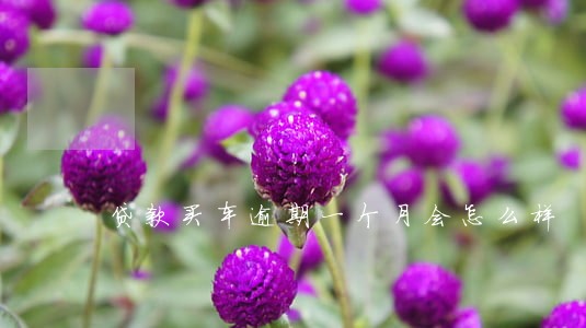 贷款买车逾期一个月会怎么样 贷款买车逾期一个月会怎么样
