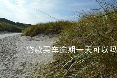 贷款买车逾期一天可以吗 贷款买车逾期一天可以吗