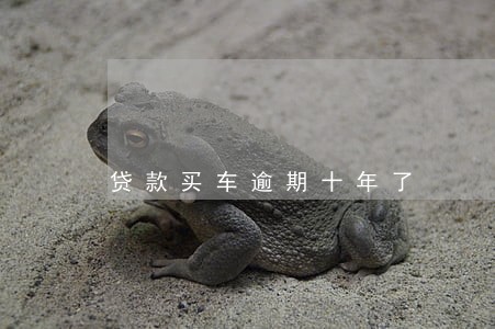 贷款买车逾期十年了 贷款买车逾期十年了