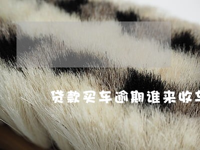 贷款买车逾期谁来收车 贷款买车逾期谁来收车