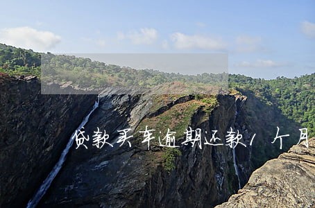 贷款买车逾期还款1个月
