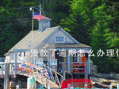 贷款了逾期怎么办理信用卡