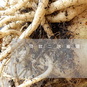 贷款二次逾期 贷款二次逾期