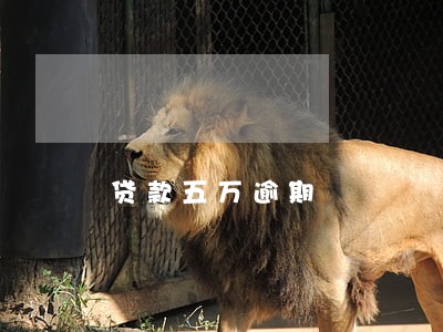 贷款五万逾期 贷款五万逾期
