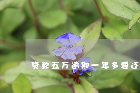 贷款五万逾期一年多要还21万 贷款五万逾期一年多要还21万