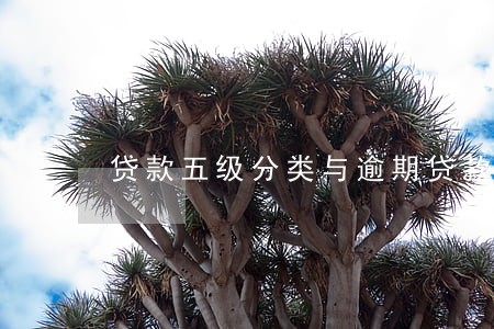 贷款五级分类与逾期贷款 贷款五级分类与逾期贷款