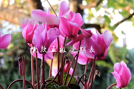 贷款五级逾期表 贷款五级逾期表