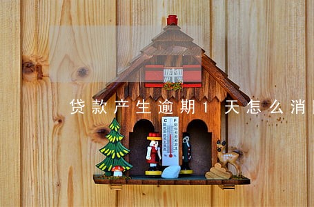 贷款产生逾期1天怎么消除 贷款产生逾期1天怎么消除