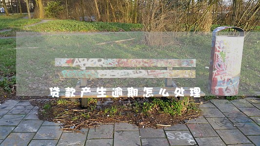 贷款产生逾期怎么处理 贷款产生逾期怎么处理
