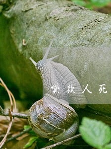 贷款人死亡配偶只还本金 贷款人死亡配偶只还本金