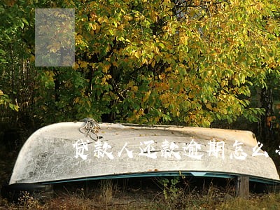 贷款人还款逾期怎么办 贷款人还款逾期怎么办