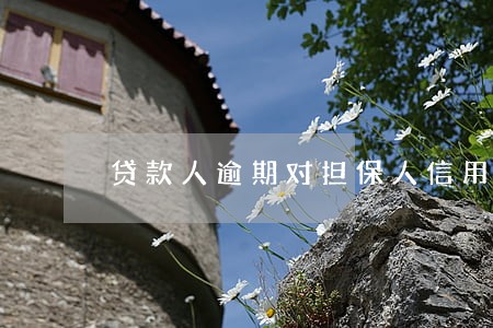 贷款人逾期对担保人信用卡有 贷款人逾期对担保人信用卡有