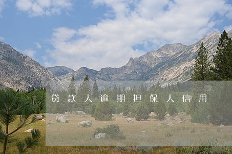 贷款人逾期担保人信用 贷款人逾期担保人信用