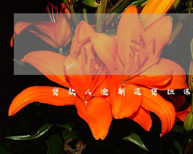贷款人逾期还贷担保人 贷款人逾期还贷担保人