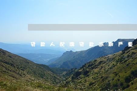 贷款人配偶贷款逾期严重 贷款人配偶贷款逾期严重
