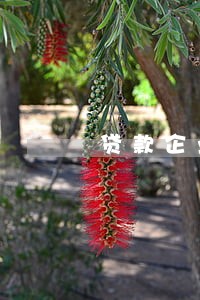 贷款企业逾期贷款 贷款企业逾期贷款