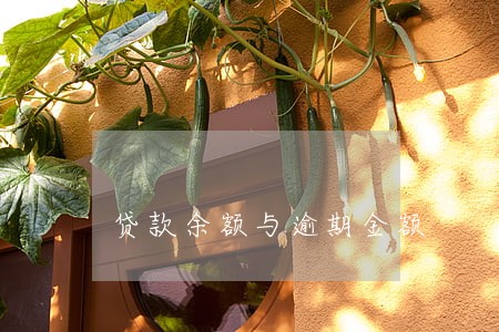 贷款余额与逾期金额 贷款余额与逾期金额