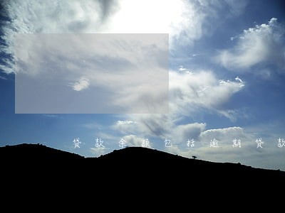贷款余额包括逾期贷款吗 贷款余额包括逾期贷款吗