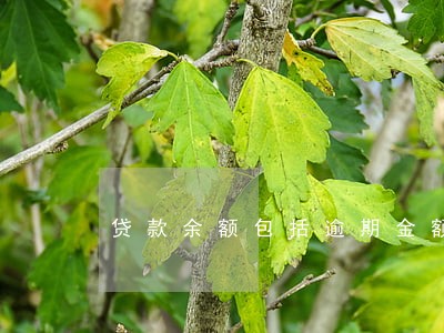 贷款余额包括逾期金额 贷款余额包括逾期金额