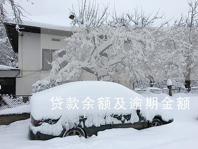贷款余额及逾期金额 贷款余额及逾期金额